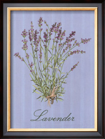 Lavender by Thilly Pricing Limited Edition Print image