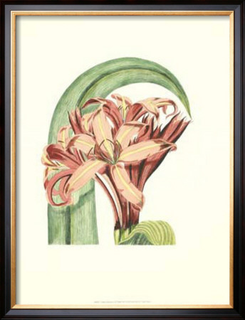 Garden Romance I by Van Houtt Pricing Limited Edition Print image