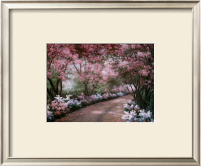 Azalea Walk by Diane Romanello Pricing Limited Edition Print image