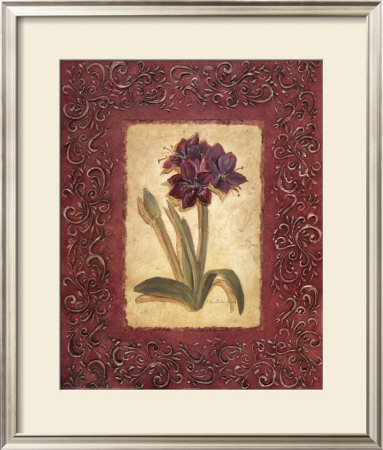 Designer Amaryllis by Charlene Winter Olson Pricing Limited Edition Print image