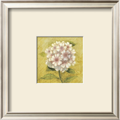 Pink And White Flower by Alejandro Mancini Pricing Limited Edition Print image