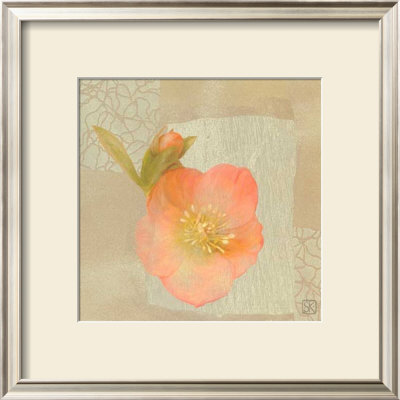 Hellebore Ii by Philippe Paput Pricing Limited Edition Print image