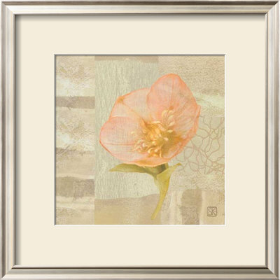 Hellebore Iii by Philippe Paput Pricing Limited Edition Print image