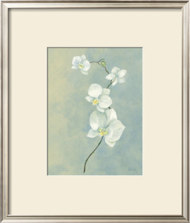 Blue Orchid Stem by Anne Novak Pricing Limited Edition Print image