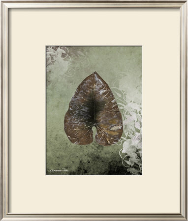 Dry Leaf Ii by Patricia Quintero-Pinto Pricing Limited Edition Print image