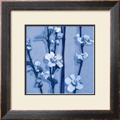 Plum Blossom Iii by Kate Knight Pricing Limited Edition Print image