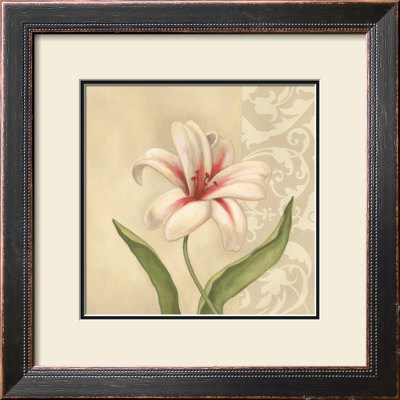 Sassy Lily by Debra Lake Pricing Limited Edition Print image