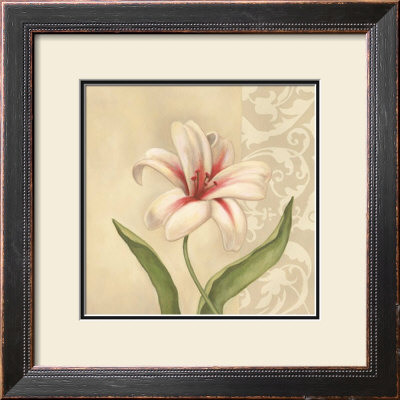 Sassy Lily by Debra Lake Pricing Limited Edition Print image