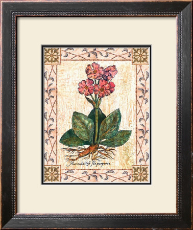 Pink Primrose by Walter Robertson Pricing Limited Edition Print image