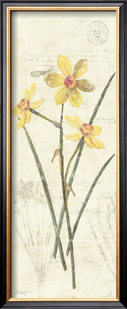 Daffodil Panel by Katie Pertiet Pricing Limited Edition Print image