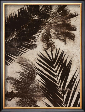 Palms Ii by J.B. Hall Pricing Limited Edition Print image