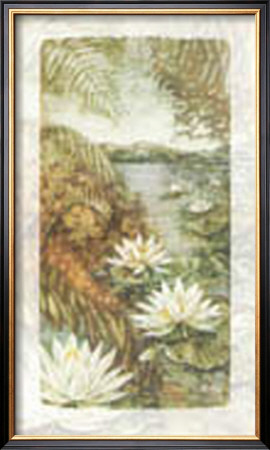 Tranquil Water Lilies by Tina Chaden Pricing Limited Edition Print image