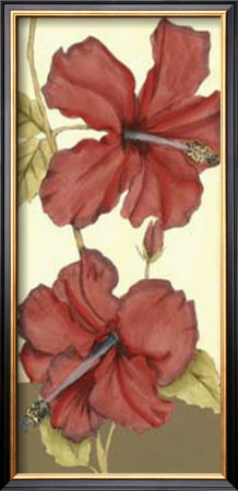 Sophisticated Hibiscus Iii by Jennifer Goldberger Pricing Limited Edition Print image
