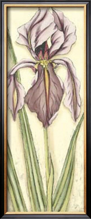 Becky's Iris Ii by Chariklia Zarris Pricing Limited Edition Print image