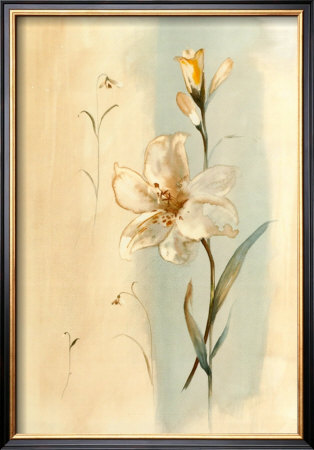Antique Flowers I by Paul Hargittai Pricing Limited Edition Print image