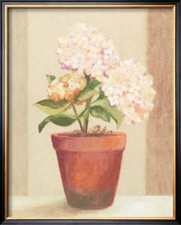 Hydrangeas In Red Pot by Martha Decon Pricing Limited Edition Print image