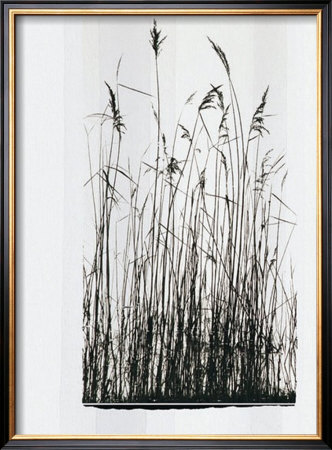 Garden Prairie I by Verbeek & Van Den Broek Pricing Limited Edition Print image