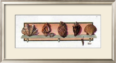Collection Of Shells Ii by Peggy Jo Ackley Pricing Limited Edition Print image