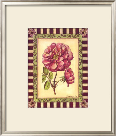 Renaissance Rose I by Jennifer Goldberger Pricing Limited Edition Print image