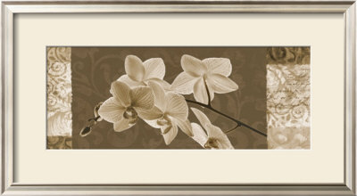 Flowers Of Light Ii by Christine Zalewski Pricing Limited Edition Print image