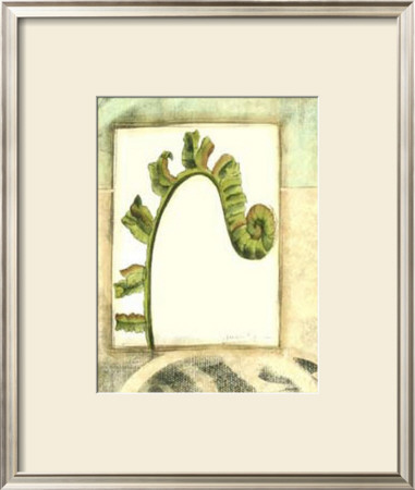 Fiddlehead Collage Iii by Jennifer Goldberger Pricing Limited Edition Print image