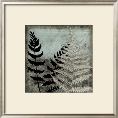 Illuminated Ferns V by Megan Meagher Pricing Limited Edition Print image