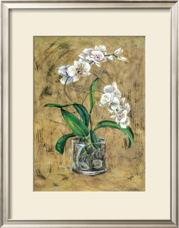 Flores Blancas I by A. Vega Pricing Limited Edition Print image