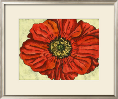 Blooming Beauties Ii by Nancy Slocum Pricing Limited Edition Print image