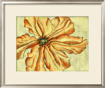 Blooming Beauties Vi by Nancy Slocum Pricing Limited Edition Print image