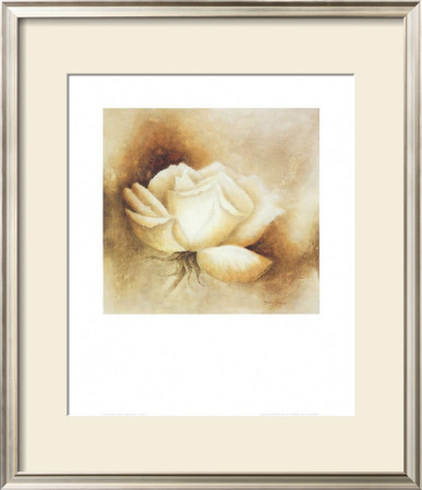 White Rose I by Betty Jansma Pricing Limited Edition Print image