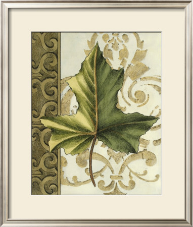 Leaf Assortment Iv by Ethan Harper Pricing Limited Edition Print image