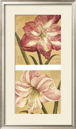 Blooming Wonder Petites by Judy Shelby Pricing Limited Edition Print image