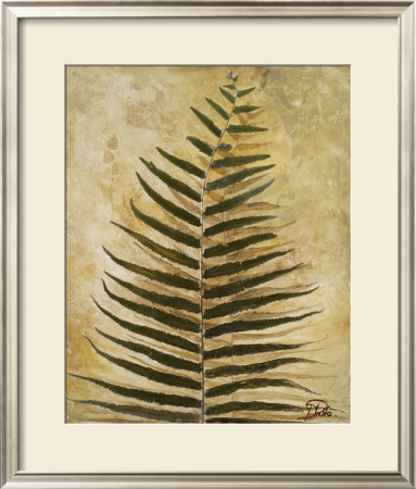 Ferns Iii by Patricia Quintero-Pinto Pricing Limited Edition Print image