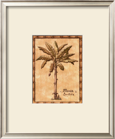 Vintage Palm Iv by Charlene Audrey Pricing Limited Edition Print image