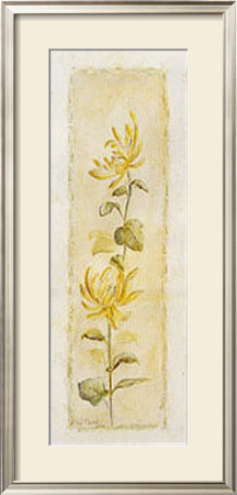 Garden Delight:Chrysantuemum by Julia Bonet Pricing Limited Edition Print image