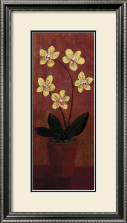 Orchid Panel Ii by Lisa Ven Vertloh Pricing Limited Edition Print image