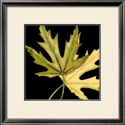 Tandem Leaves Iv by Jennifer Goldberger Pricing Limited Edition Print image