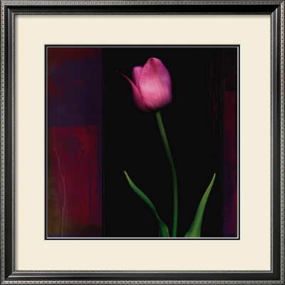 Red Tulip Ii by Rick Filler Pricing Limited Edition Print image