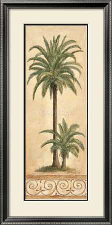 Coconut Palm by Claudia Ancilotti Pricing Limited Edition Print image