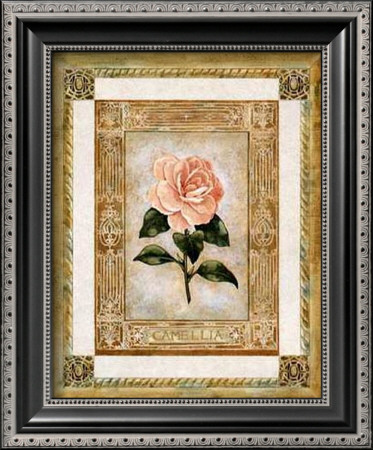 Camellia by Gloria Eriksen Pricing Limited Edition Print image
