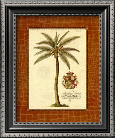 Coconut Palm by Georg Dionysius Ehret Pricing Limited Edition Print image