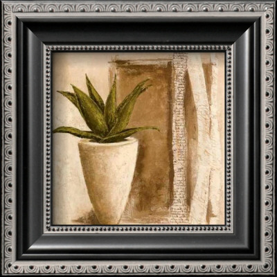 Aloe by Veronique Didier-Laurent Pricing Limited Edition Print image