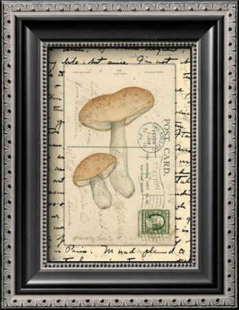 Mushrooms Ii by Nancy Shumaker Pricing Limited Edition Print image