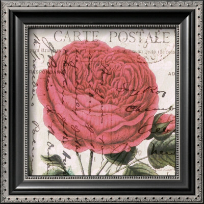 Carte Postale Rose Iv by Paula Scaletta Pricing Limited Edition Print image