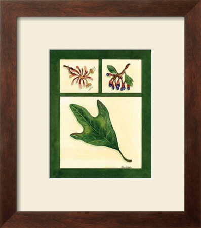 Leaf Study Ii by Chris Wilsker Pricing Limited Edition Print image