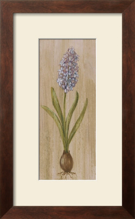 Purple Hyacinth With Bulb by Mar Alonso Pricing Limited Edition Print image