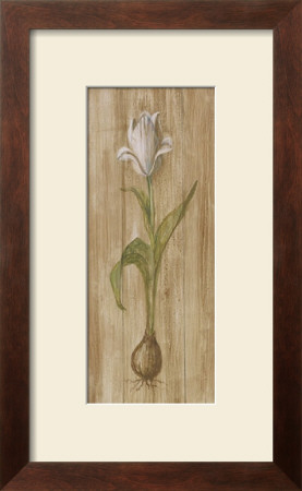 White Tulip With Bulb by Mar Alonso Pricing Limited Edition Print image