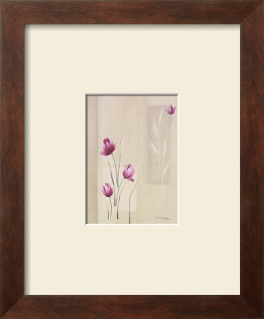 Shades Of Pink Ii by Simone Devalle Pricing Limited Edition Print image