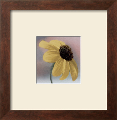 Daisy by Judy Mandolf Pricing Limited Edition Print image