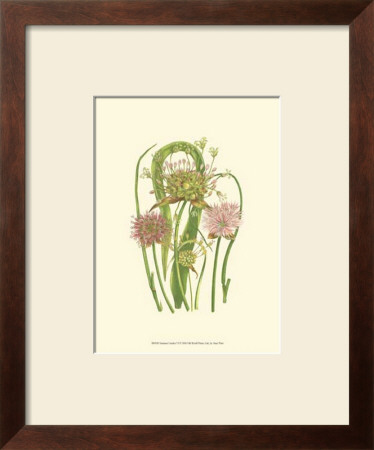 Summer Garden Vi by Anne Pratt Pricing Limited Edition Print image